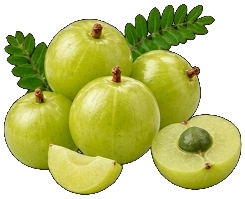 Fresh Wild Malwa Amla