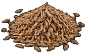 Roasted Cumin Seeds