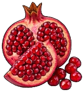 Wild Anardana Pomegranate