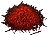 Kashmiri Saffron Threads