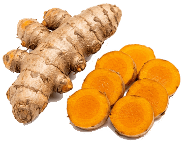 Salem Turmeric Root